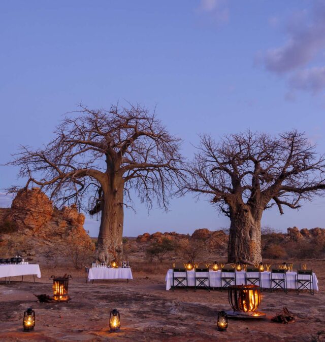 Tuli Block Magic